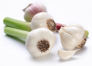 young garlic on a white background