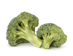 Broccoli vegetable