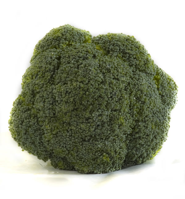 Broccoli vegetable