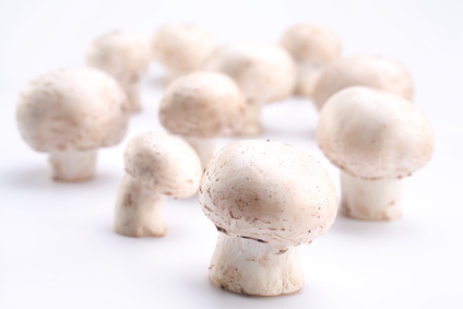 Handful of champignons on a white background