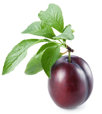 Ripe plum with leaves