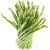 Sheaf of asparagus on a white background.