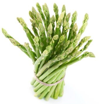 Sheaf of asparagus on a white background.