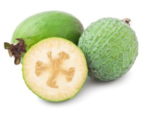 guayaba