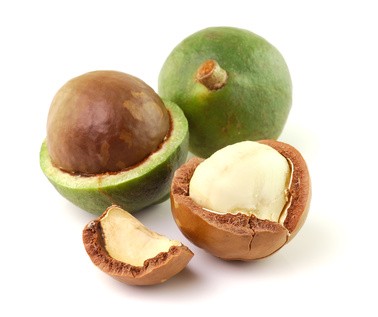 nueces de macadamia