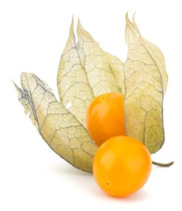 physalis