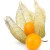 physalis