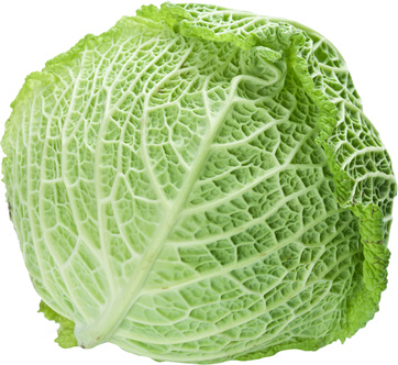 Image of cabbage on white background. The file contains a path to cut.