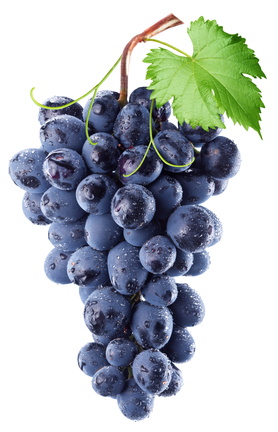 uvas